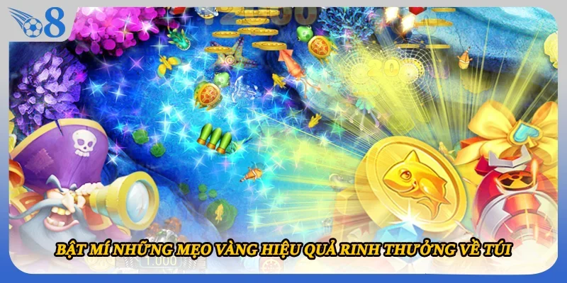 Bật mí những mẹo vàng hiệu quả rinh thưởng về túi
