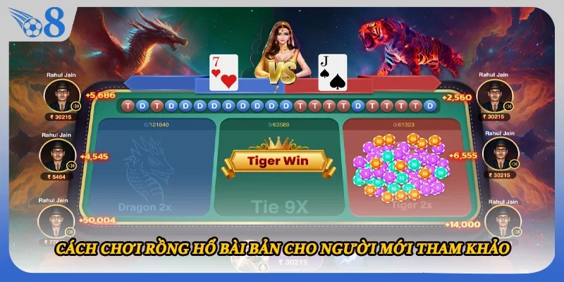 Cách chơi Rồng Hổ bài bản cho người mới tham khảo