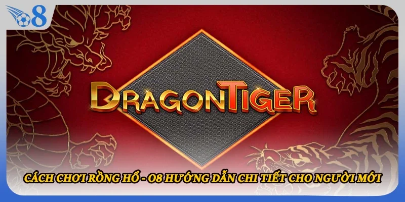 Cách Chơi Rồng Hổ - O8 Hướng Dẫn Chi Tiết Cho Người Mới
