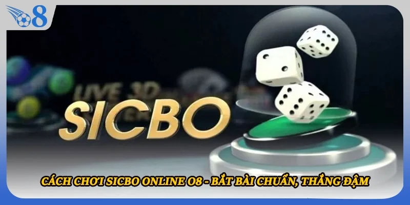 Cách Chơi Sicbo Online O8 - Bắt Bài Chuẩn, Thắng Đậm