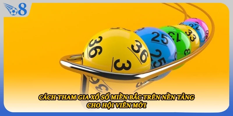 Cách tham gia xổ số miền Bắc trên nền tảng cho hội viên mới