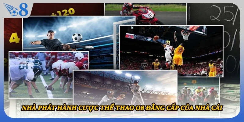 Nhà phát hành cược thể thao O8 đẳng cấp của nhà cái