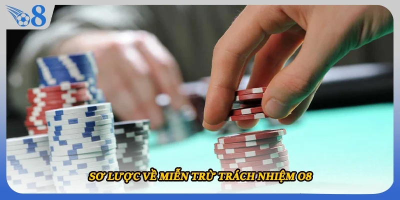 Sơ lược về miễn trừ trách nhiệm O8