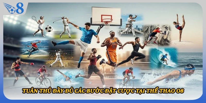 Tuân thủ đầy đủ các bước đặt cược tại thể thao O8