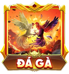đá gà